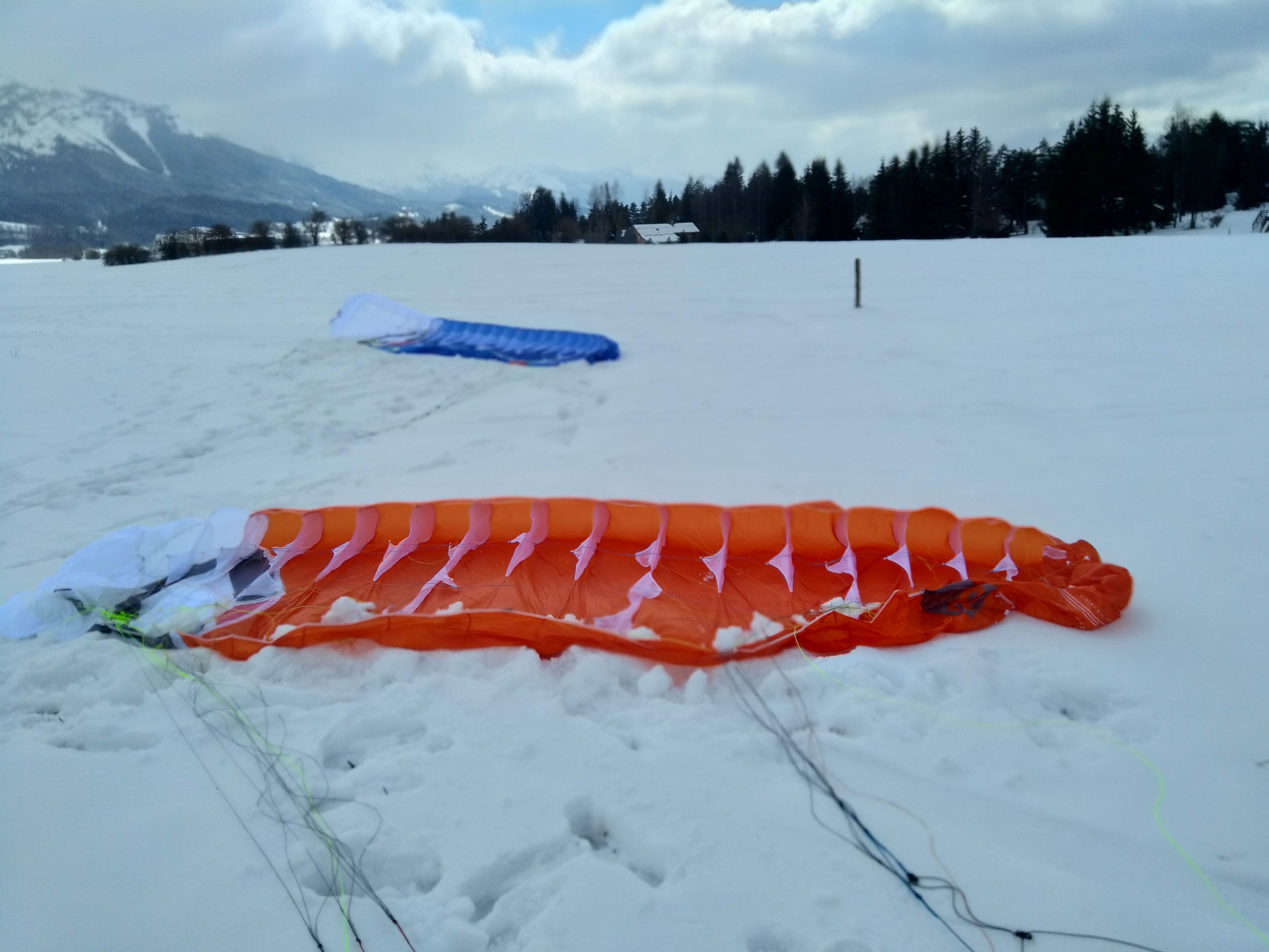 IMG_20210320_132730.jpg