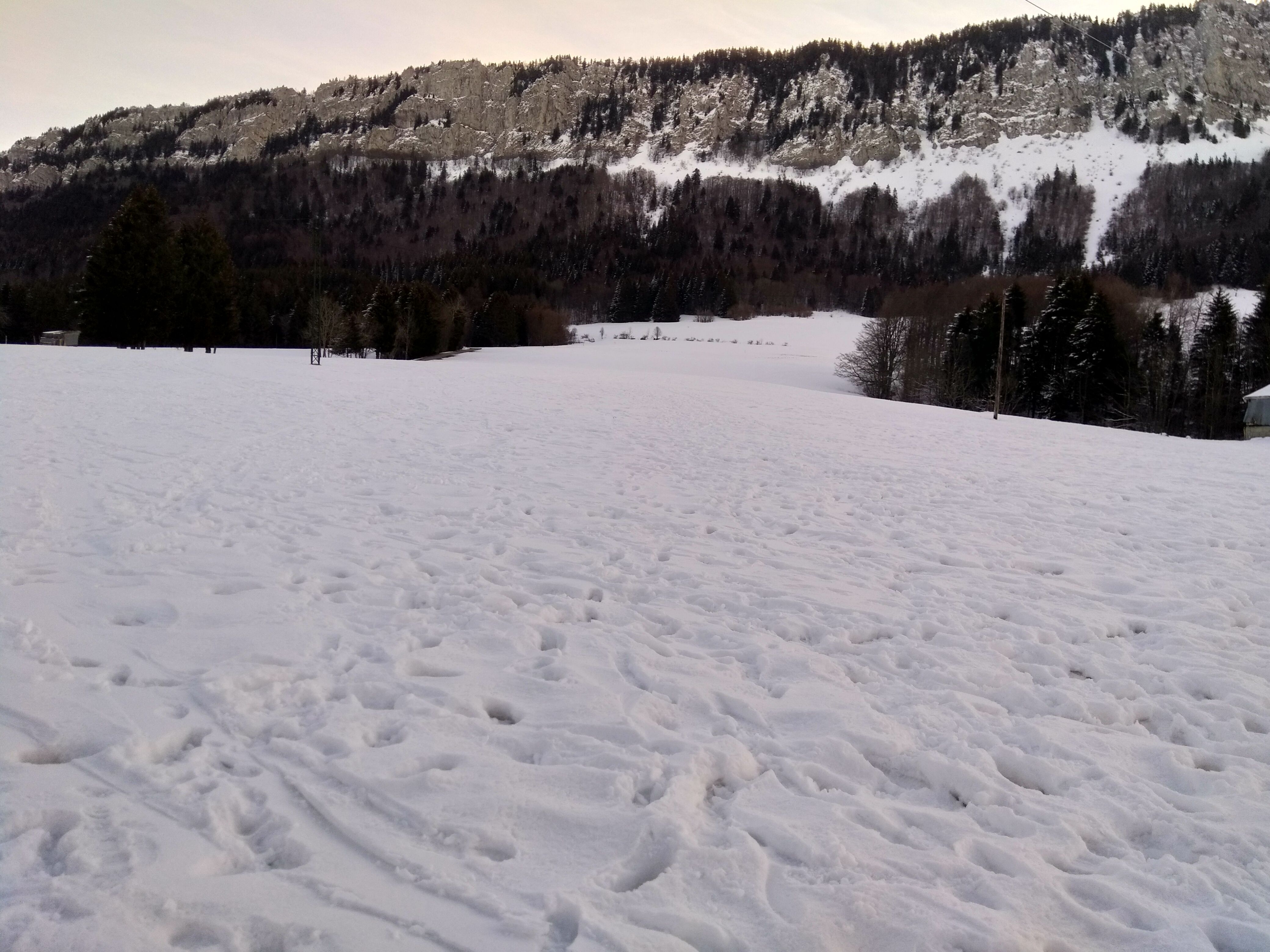 IMG_20210216_093324.jpg
