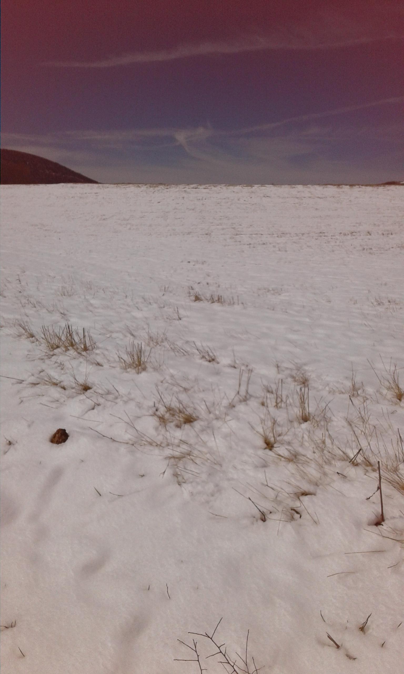 20190405_131533.jpg