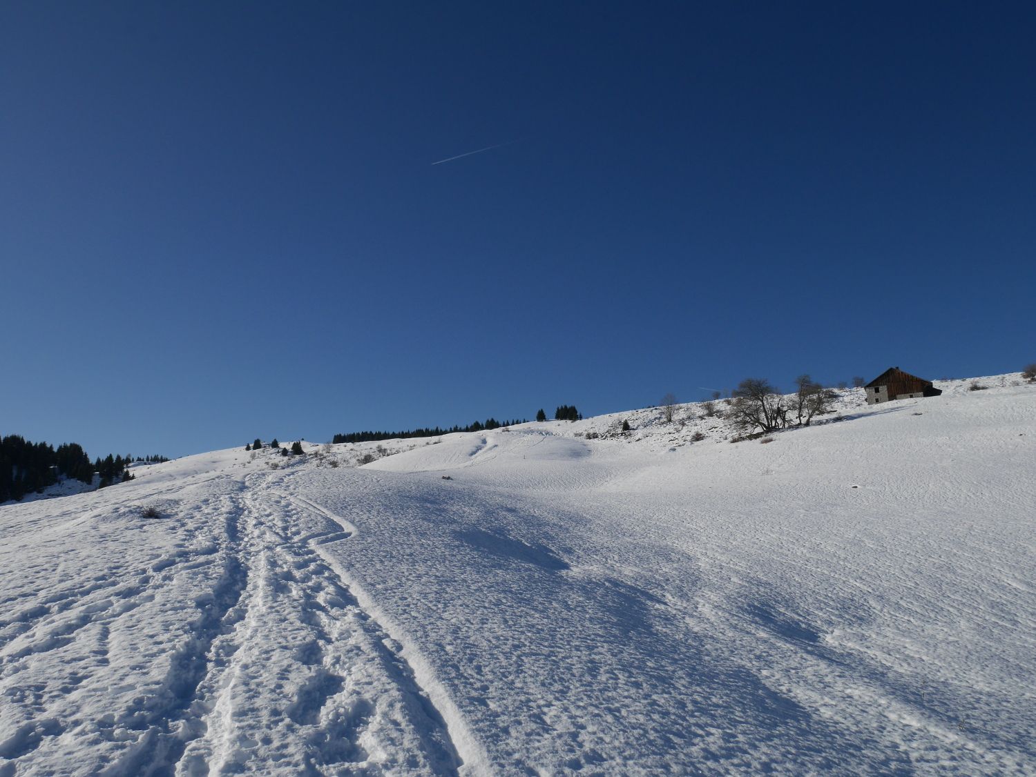 P1020496.JPG
