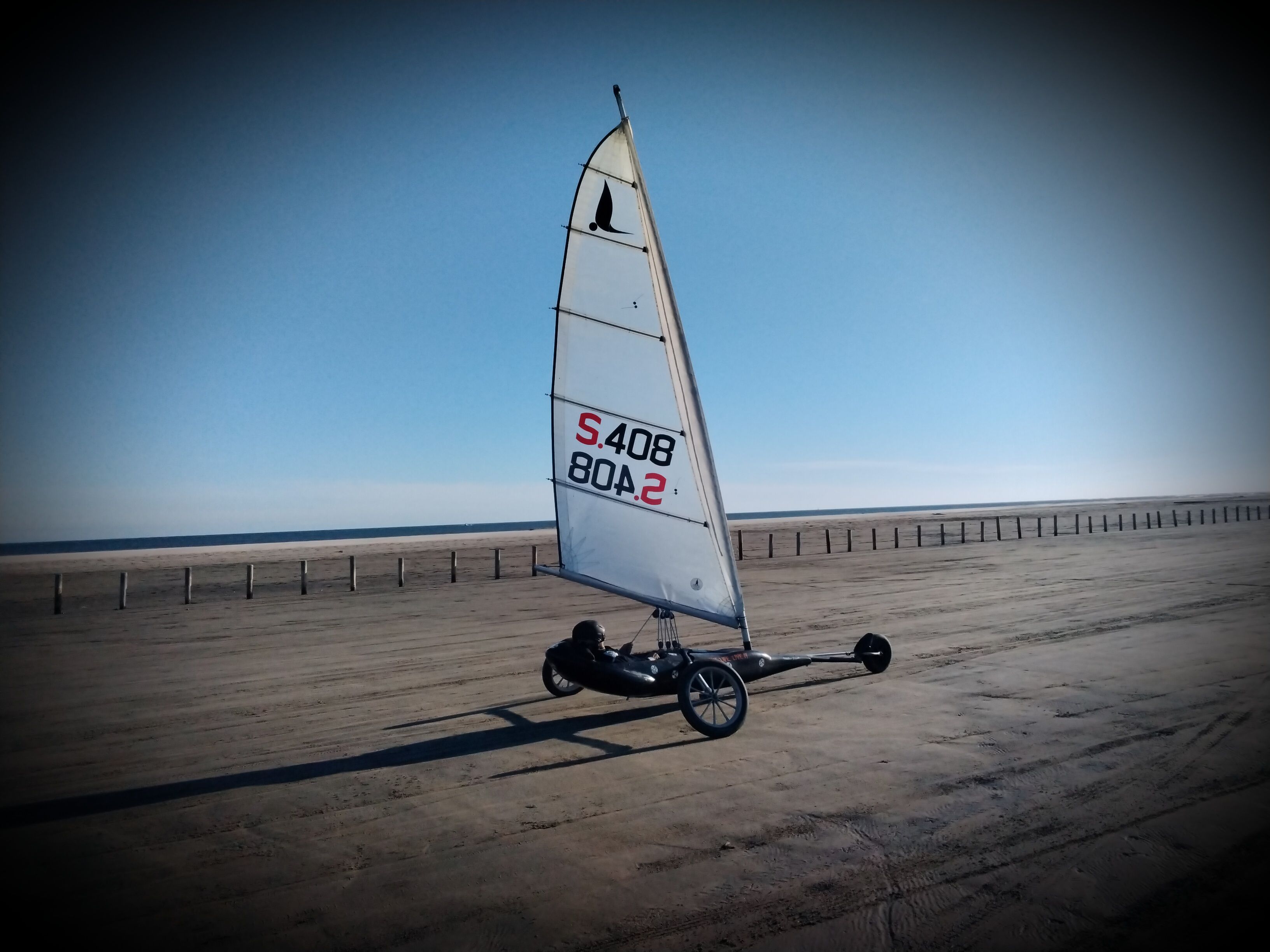 IMG_20211106_153117.jpg
