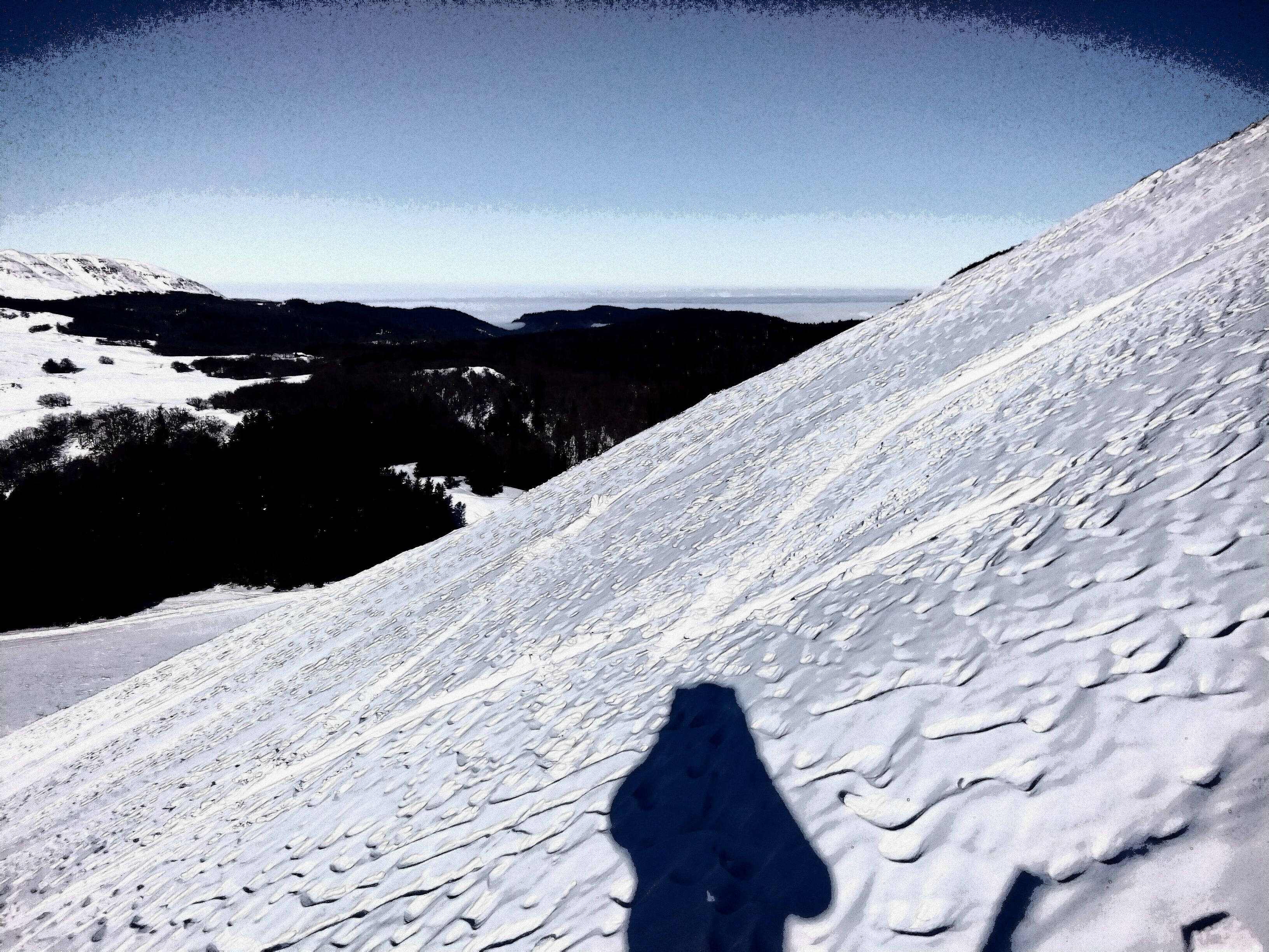 IMG_20220118_115230.jpg