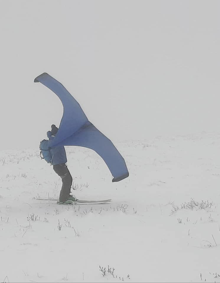wing aeros.jpg